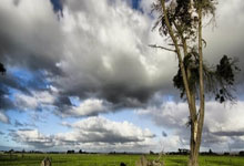 体操比赛新星崛起,轰动一时受人瞩目