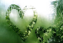 开拓者客场力克灰熊,取得三连胜