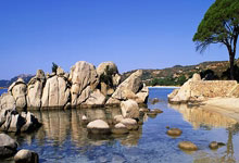 昂热客场逼平兰斯，保持连胜不败